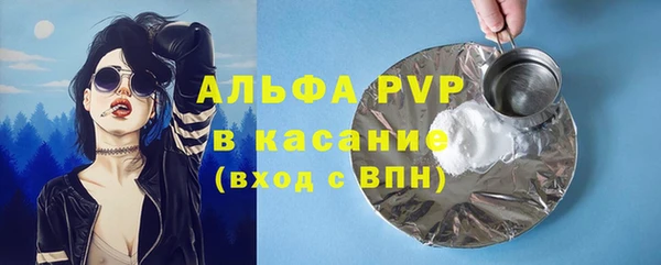 индика Аркадак