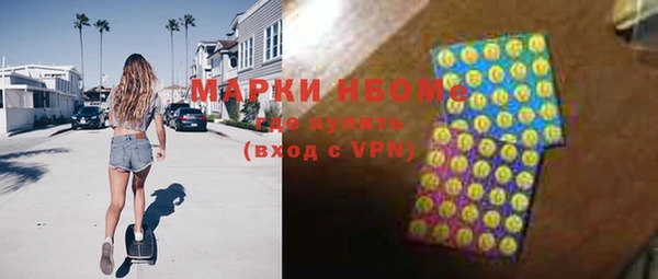 индика Аркадак