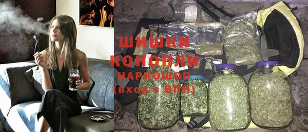 индика Аркадак