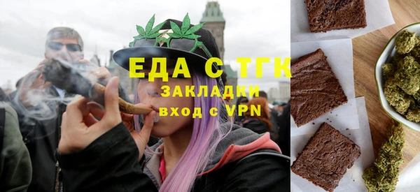 индика Аркадак