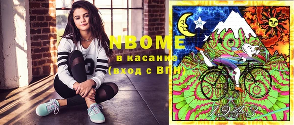 индика Аркадак