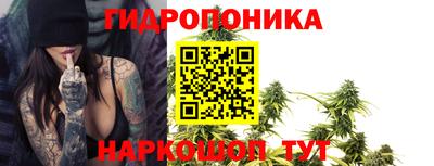 apvp Заволжье