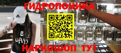 стафф Заводоуковск