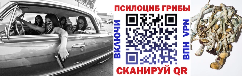 Галлюциногенные грибы Psilocybe гидра зеркало Лянтор