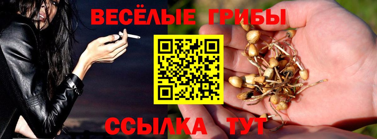 Галлюциногенные грибы прущие грибы  Вход с VPN  Лянтор 